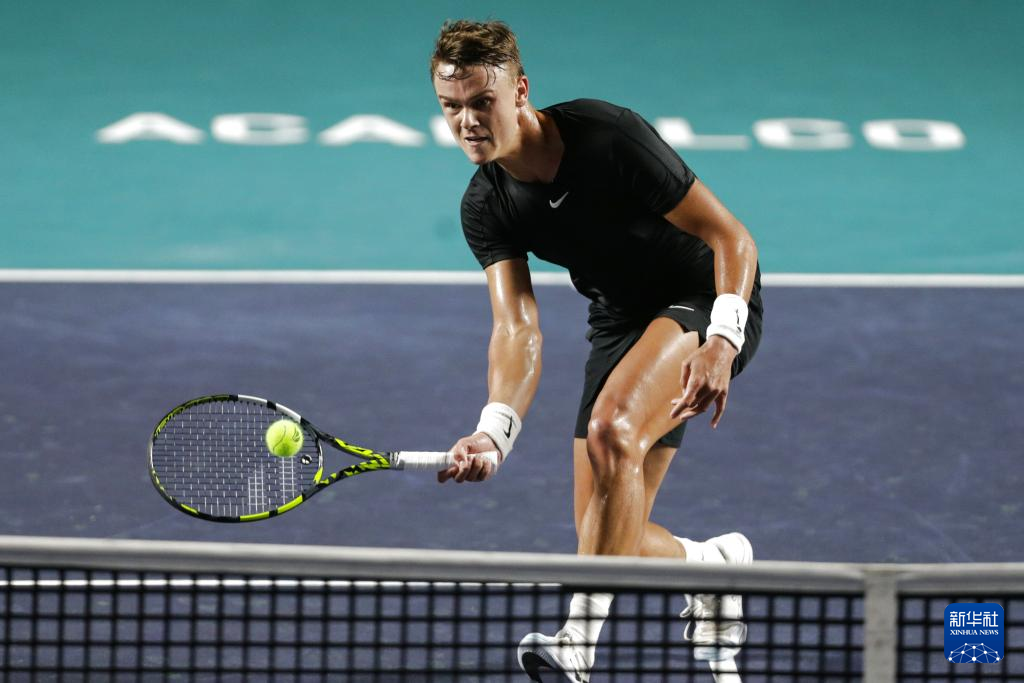 致力於引進 致力於引進