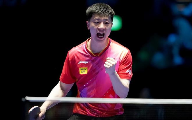 他常运用追 他常运用追